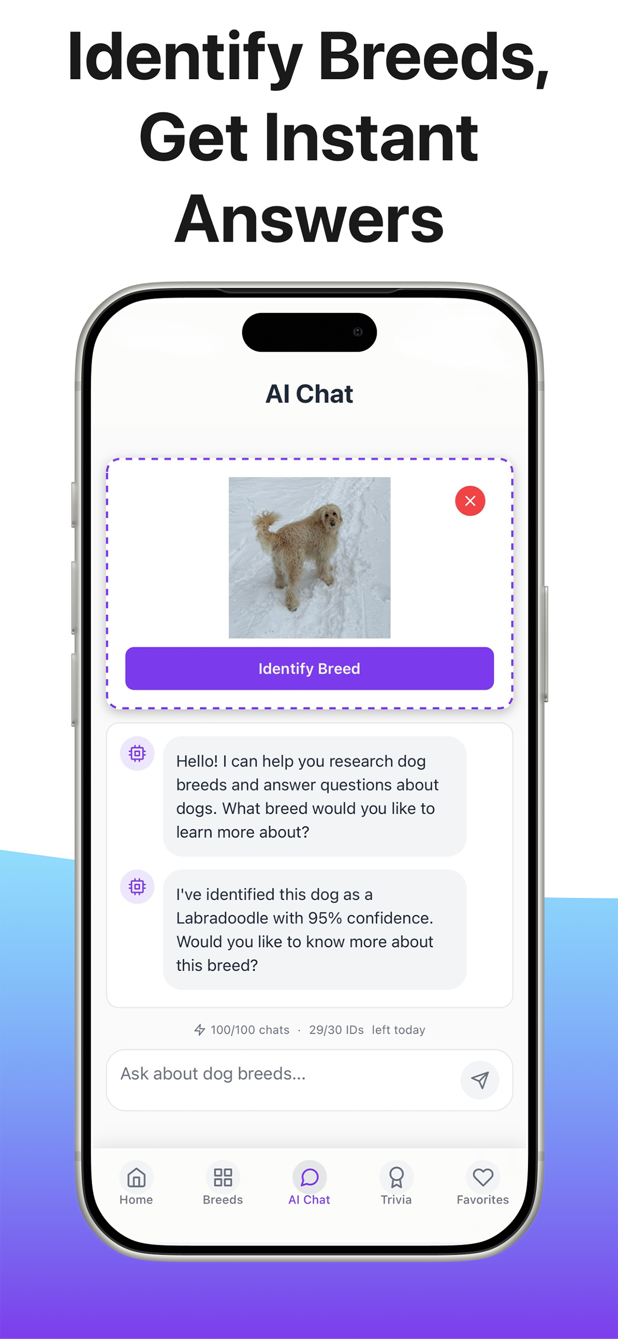 AI breed identification from photos with instant answers